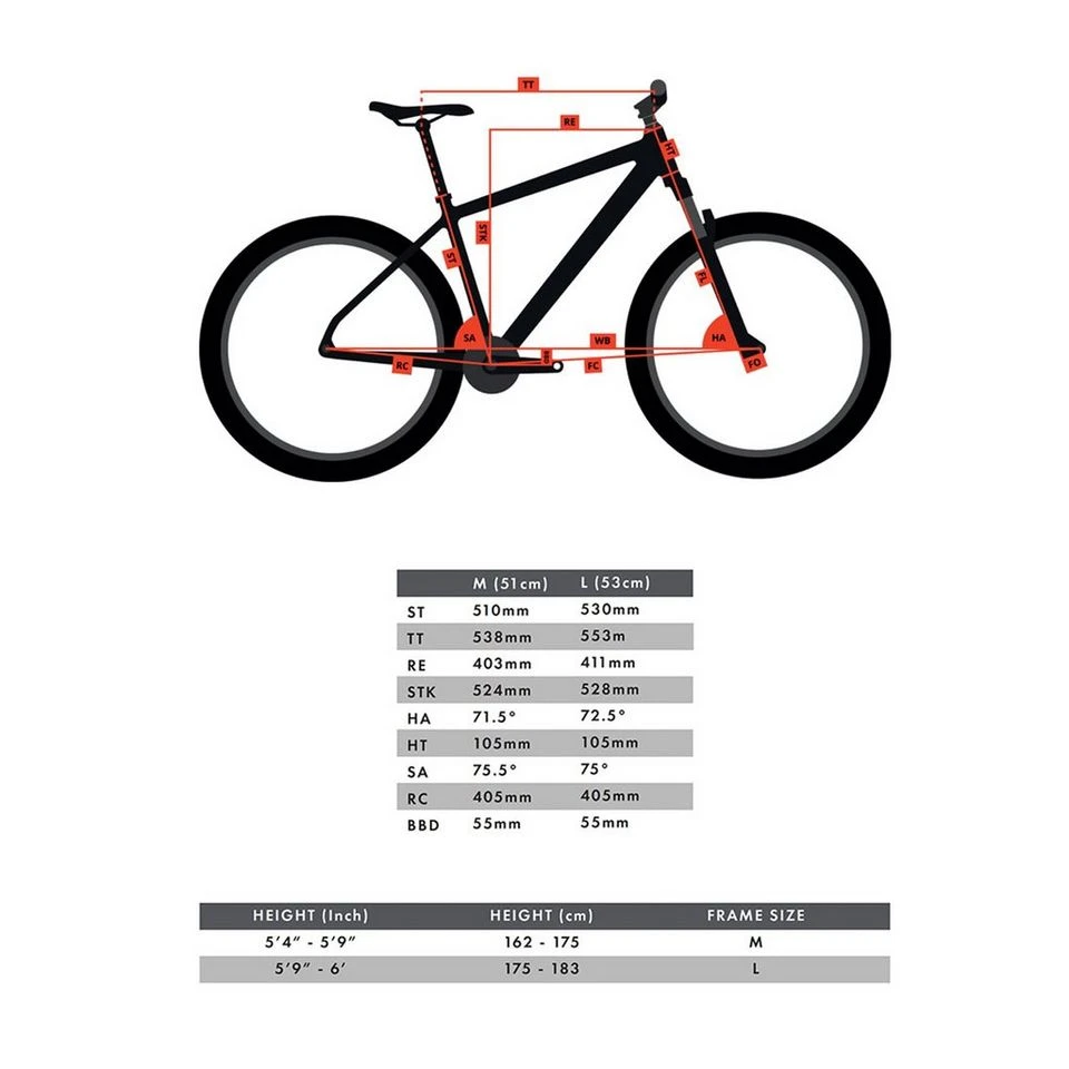 Flip Flop Bike 4 Flip Flop Bike - Image 2