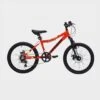 Barracuda Kids' 20" Flare Mountain Bike