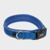 Classic Neo Dog Collar Ble 2 Classic Neo Dog Collar Ble -Outdoor Gear Shop go 381776 a