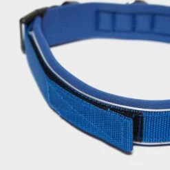 Classic Neo Dog Collar Ble -Outdoor Gear Shop go 381776 c