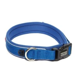 Classic Neo Dog Collar Ble -Outdoor Gear Shop go 381776 z