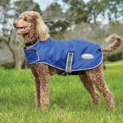 Weatherbeeta Comfitec Windbreaker Free Dog Coat -Outdoor Gear Shop go 517485 z