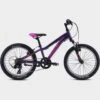 Fuji Kids’ Dynamite 20” Bike