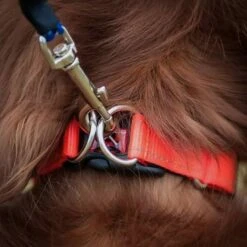 Golf Sales Store -Outdoor Gear Shop go 604688 b