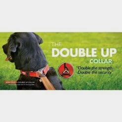 Double Up Dog Collar (Small) 8 Double Up Dog Collar (Small) -Outdoor Gear Shop go 604688 c
